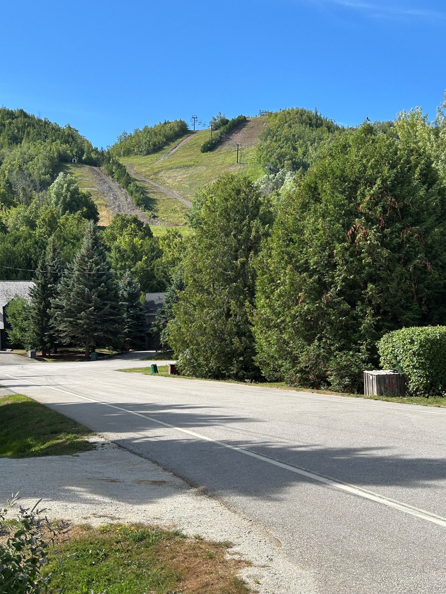 SKI - IN———SKI - OUT