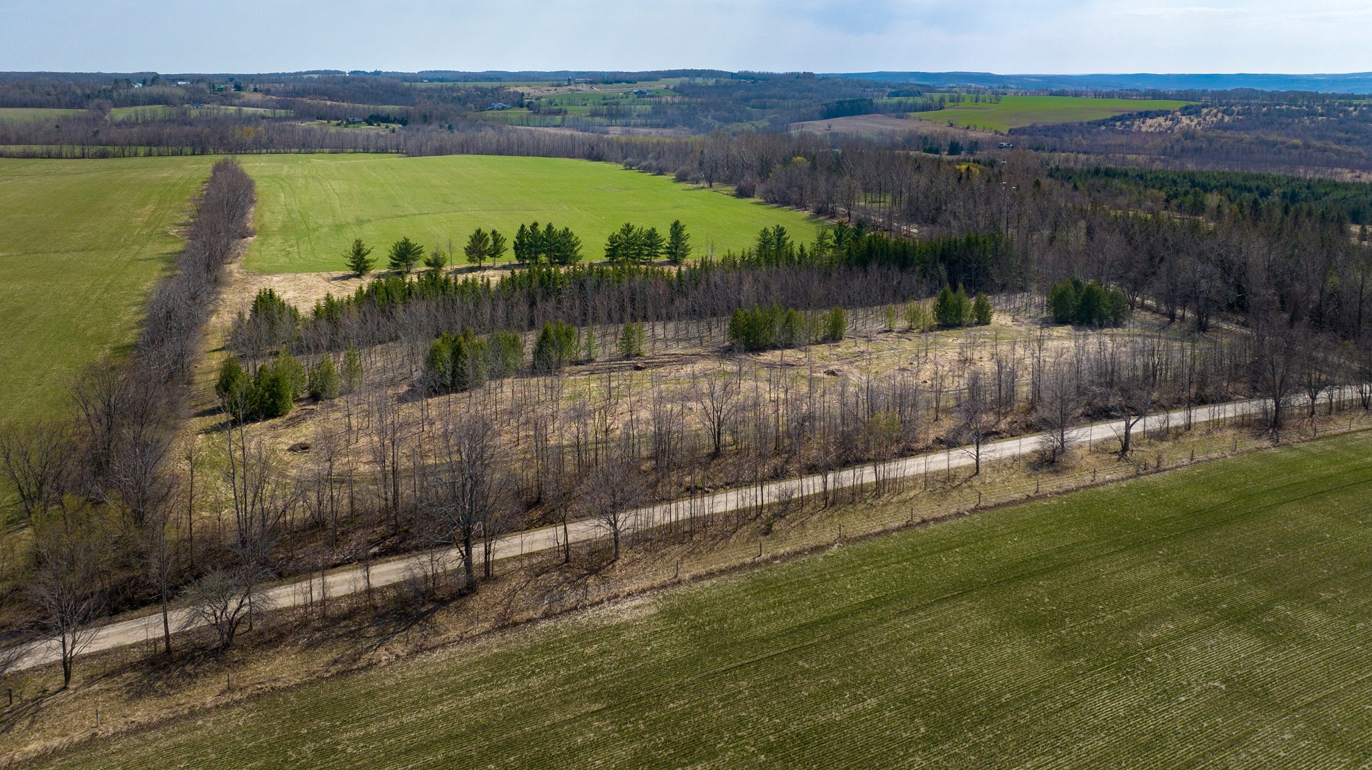 24 Acres near Loree - Gorgeous Acreage located in the heart of the Blue Mountains.